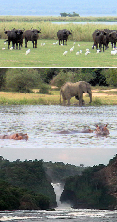 Murchison Falls National Park.